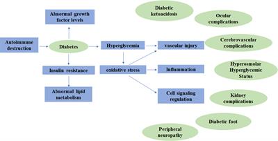 Journal Of Diabetes And Its Complications Sciencedirect Com